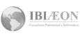 Logo Ibieon